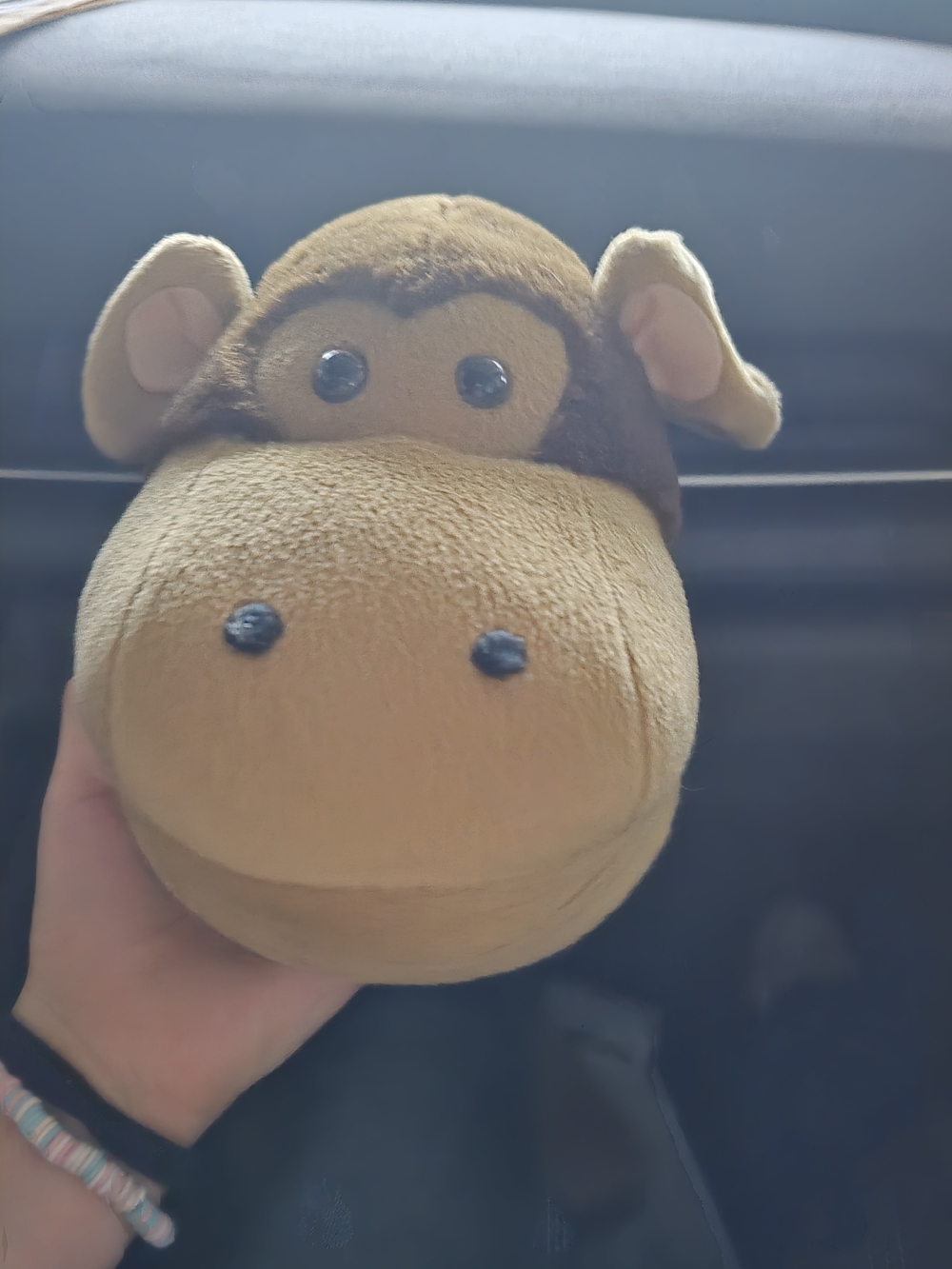 Vintage Head Case Monkey CD DVD Disc Sleeve Holder Zipper Plush